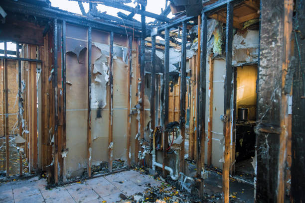 Professional Fire Damage Removal technician working in Woodway, WA